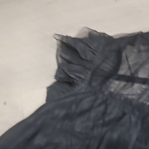 Elegant Black Sheer Ruffled Sleeveless Blouse - Picture 6 of 8